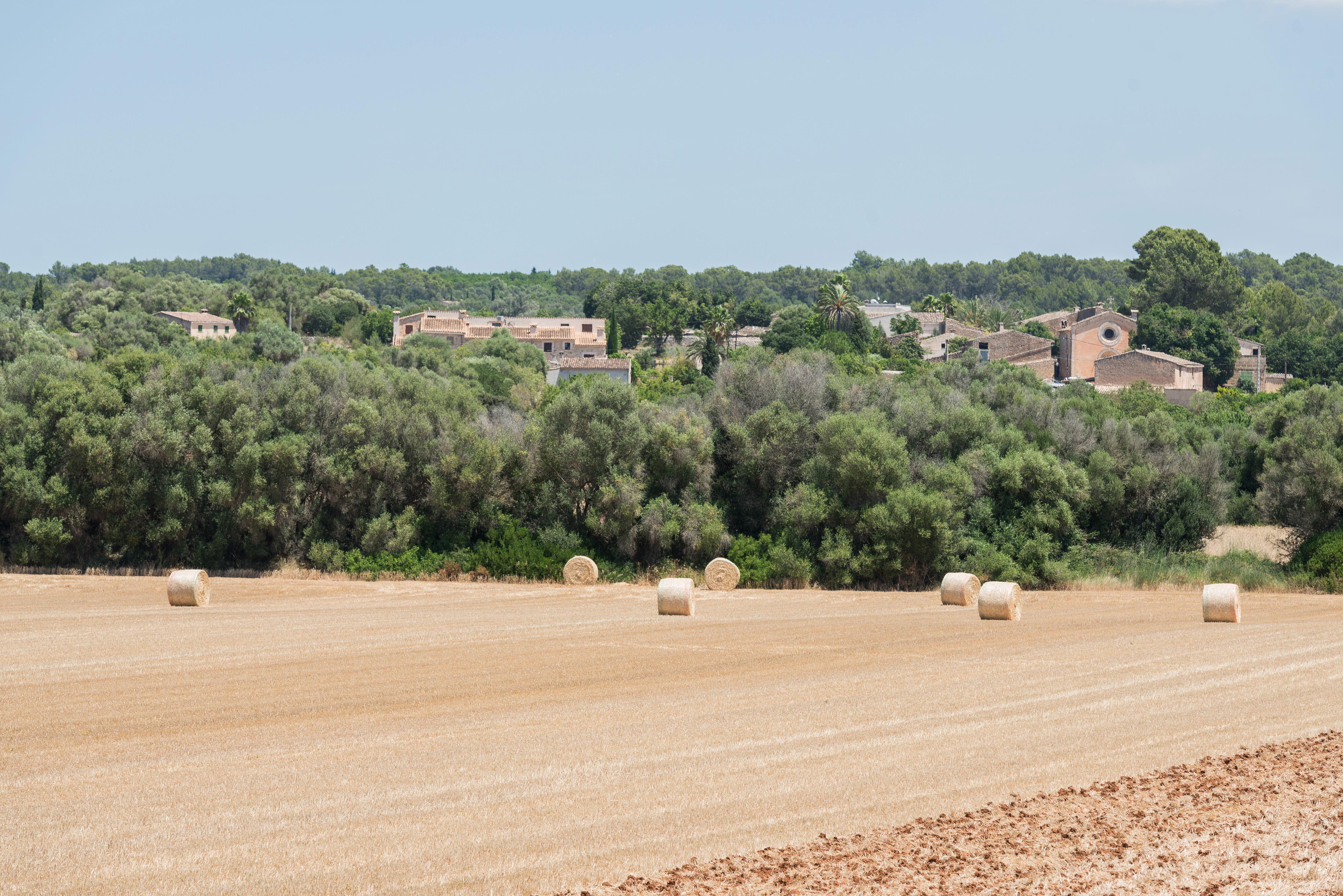 Petit Hotel Rural Son Jorda Sencelles Extérieur photo