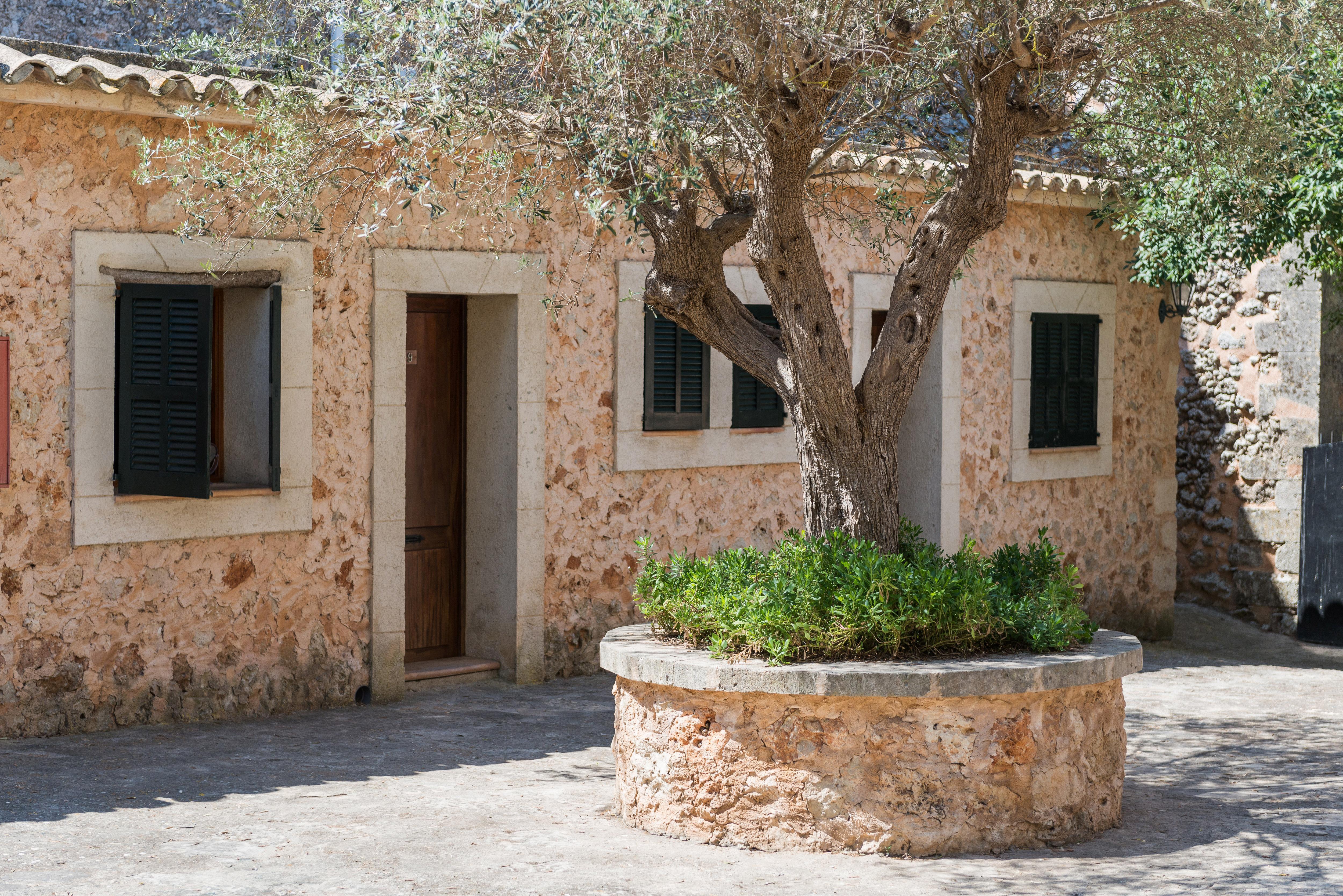 Petit Hotel Rural Son Jorda Sencelles Extérieur photo