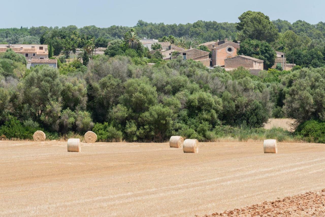 Petit Hotel Rural Son Jorda Sencelles Extérieur photo